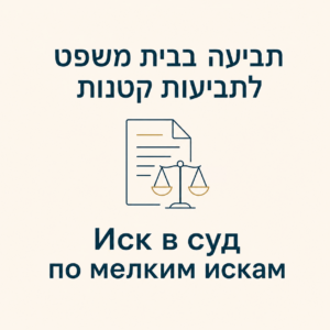 small claim תביעות קטנות суд по мелким искам